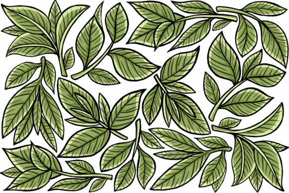Leaf Graphic Element: Creative Design Made Simple